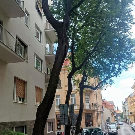 Nice Flat Under The Castle Μπρατισλάβα Εξωτερικό φωτογραφία